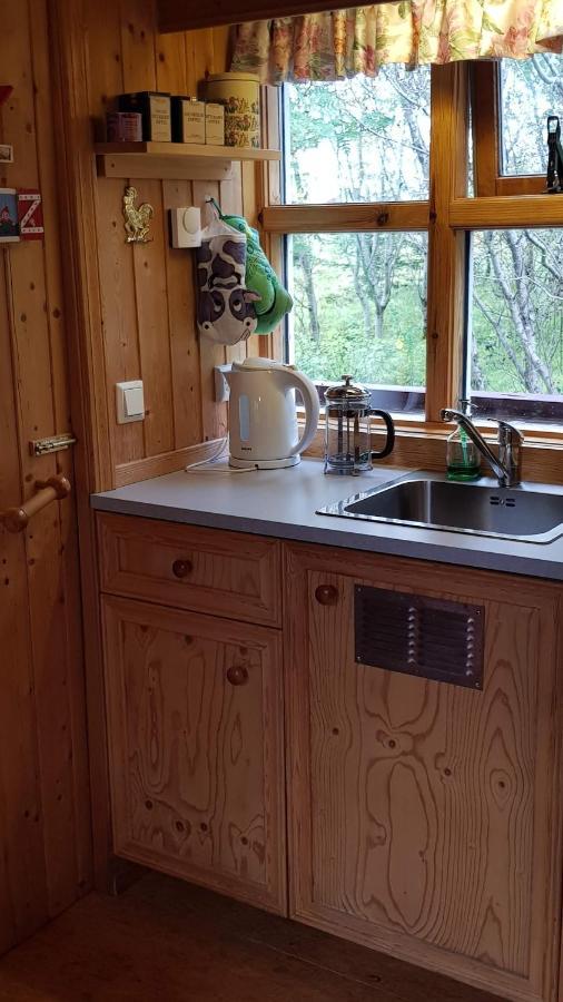 Cozy Cabin In The Woods Селфосс Экстерьер фото